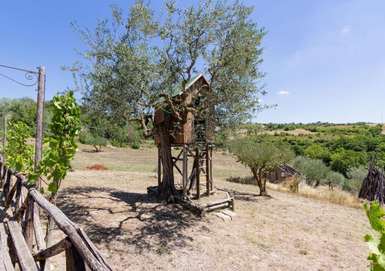 Agriturismo Torre Gialluise Gesualdo Bagian luar foto