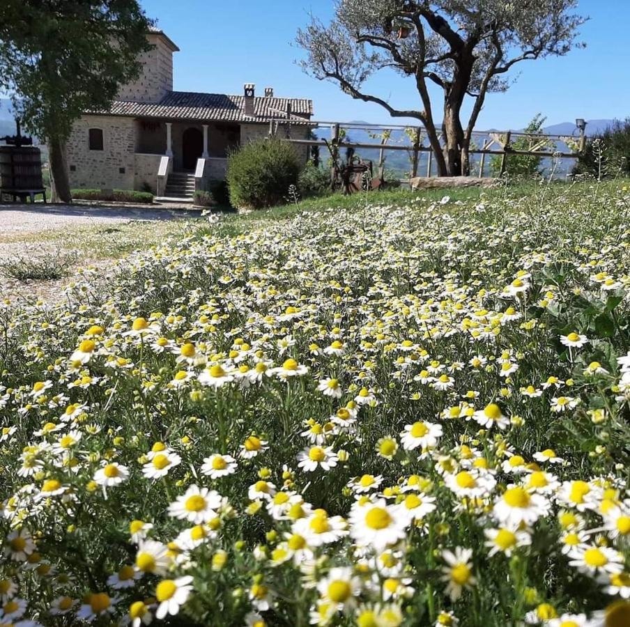 Agriturismo Torre Gialluise Gesualdo Bagian luar foto