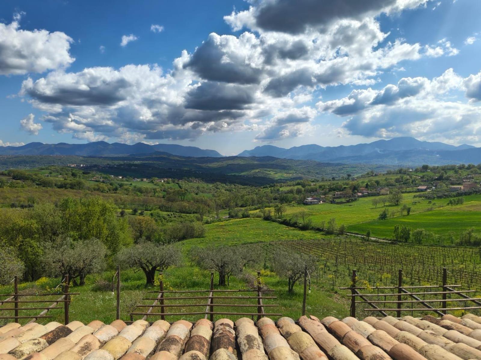 Agriturismo Torre Gialluise Gesualdo Bagian luar foto